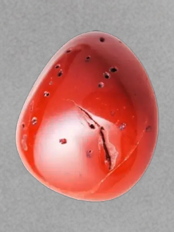 Natural Coral Stomes