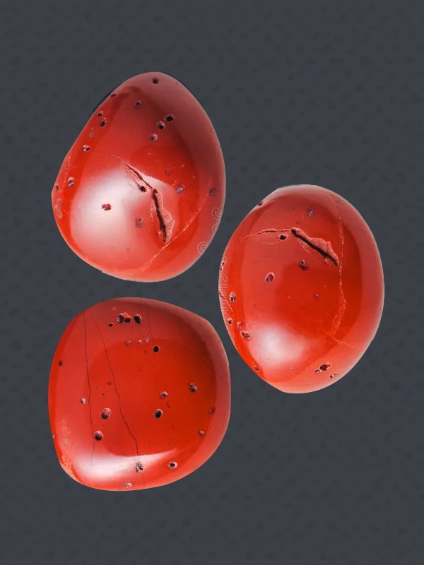 Natural Coral Stomes